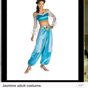 Jasmin costume.